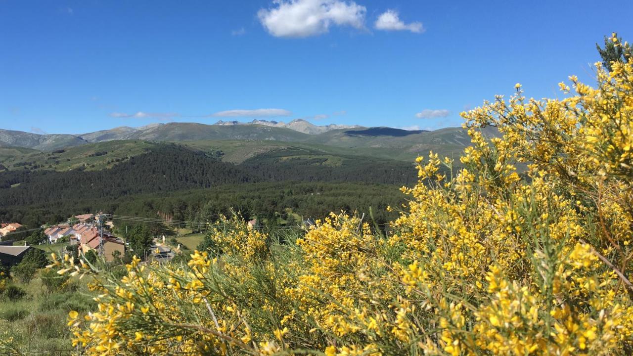 Cara norte de Gredos Hoyos del Espino Exterior foto