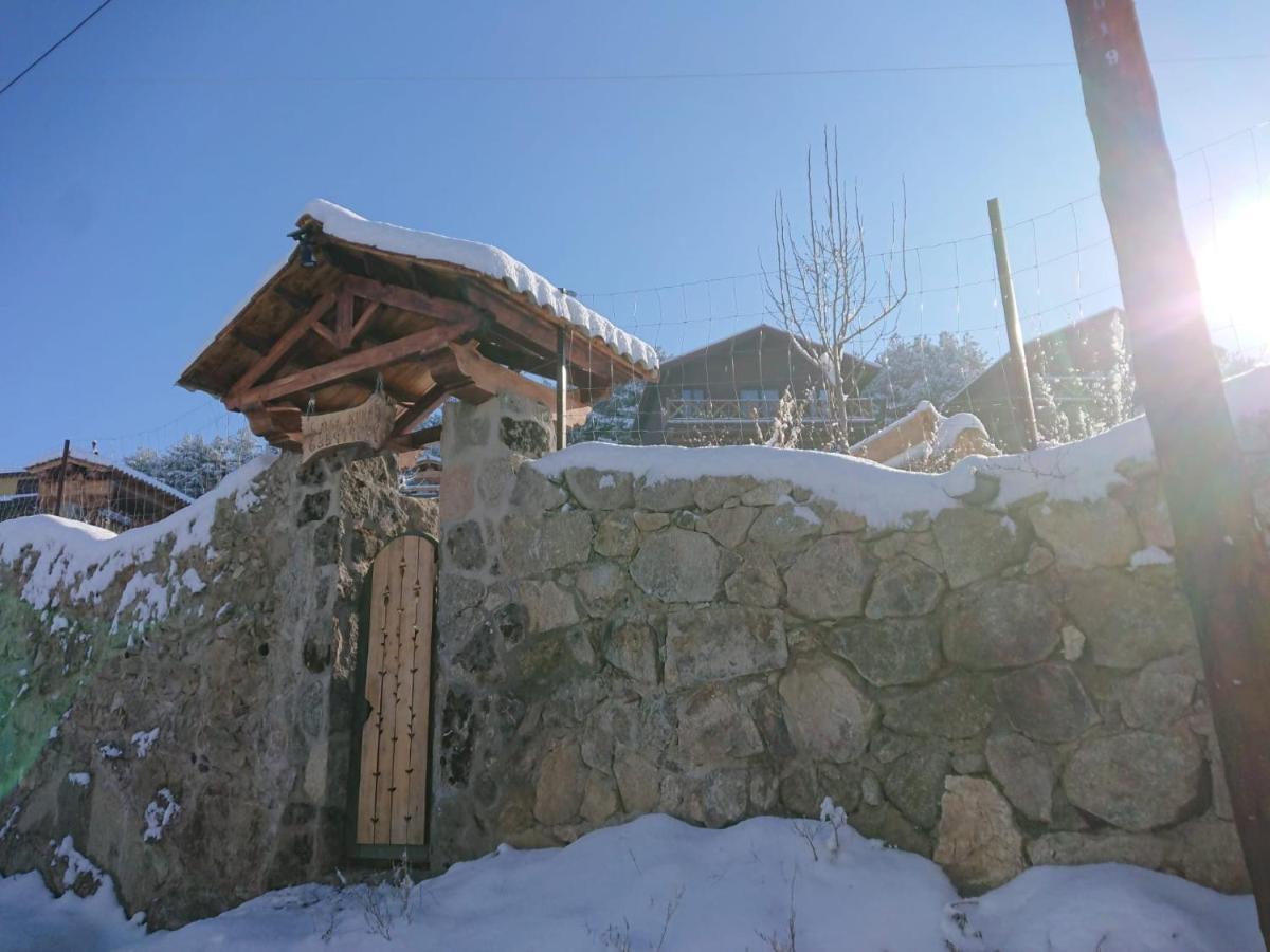 Cara norte de Gredos Hoyos del Espino Exterior foto