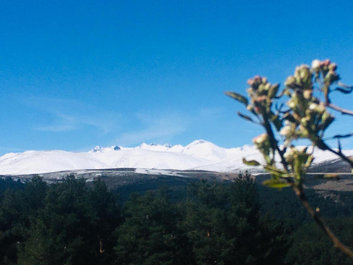 Cara norte de Gredos Hoyos del Espino Exterior foto